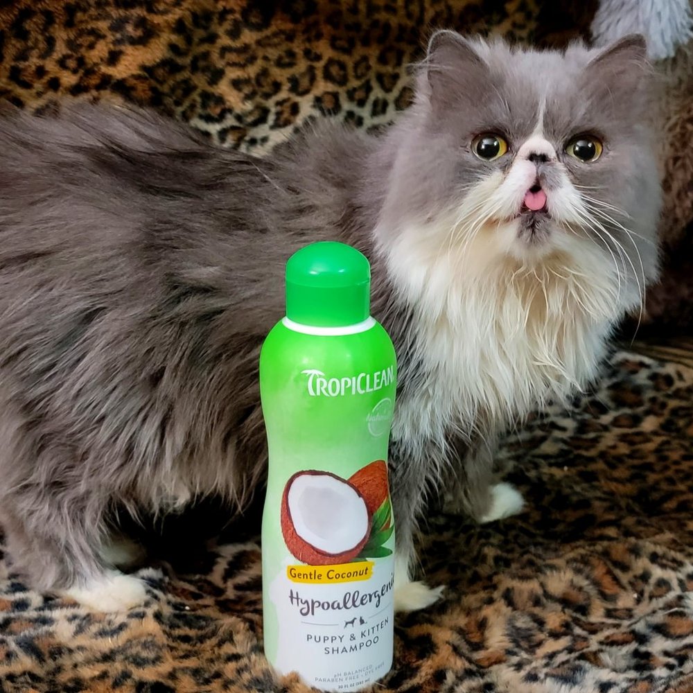 Tropiclean Puppy Kitten Shampoo Coconut Hypoallergenic 20 oz. New!